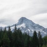 Montana Construction Bidding Process | Surety Bond Professionals